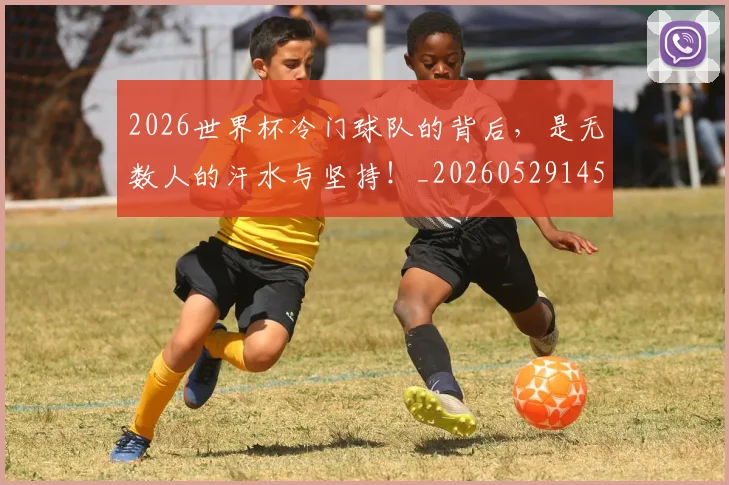 2026世界杯冷门球队的背后,是无数人的汗水与坚持!_20260529145347