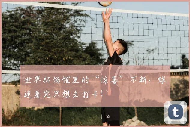 世界杯场馆里的“惊喜”不断，球迷看完只想去打卡！