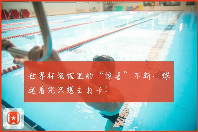 世界杯场馆里的“惊喜”不断，球迷看完只想去打卡！
