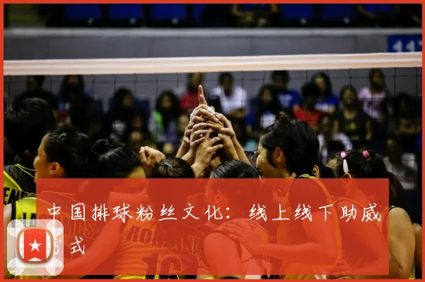 中国排球粉丝文化：线上线下助威方式