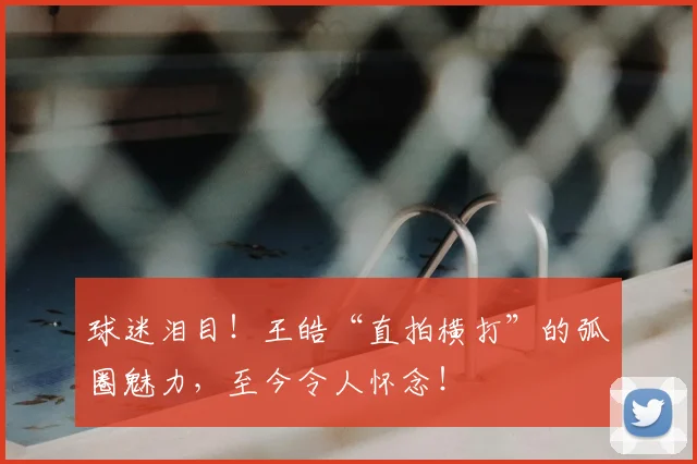 球迷泪目！王皓“直拍横打”的弧圈魅力，至今令人怀念！
