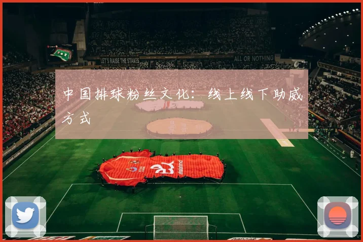 中国排球粉丝文化：线上线下助威方式
