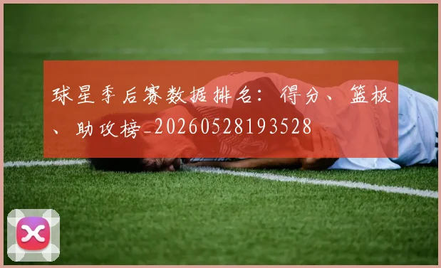 球星季后赛数据排名：得分、篮板、助攻榜_20260528193528